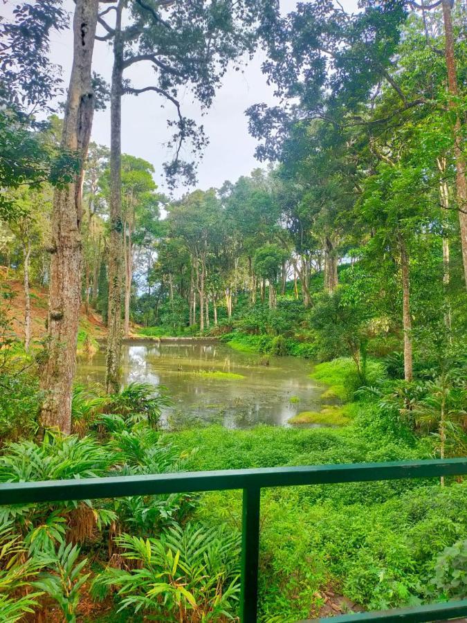 Singletree Resort, Munnar Luaran gambar
